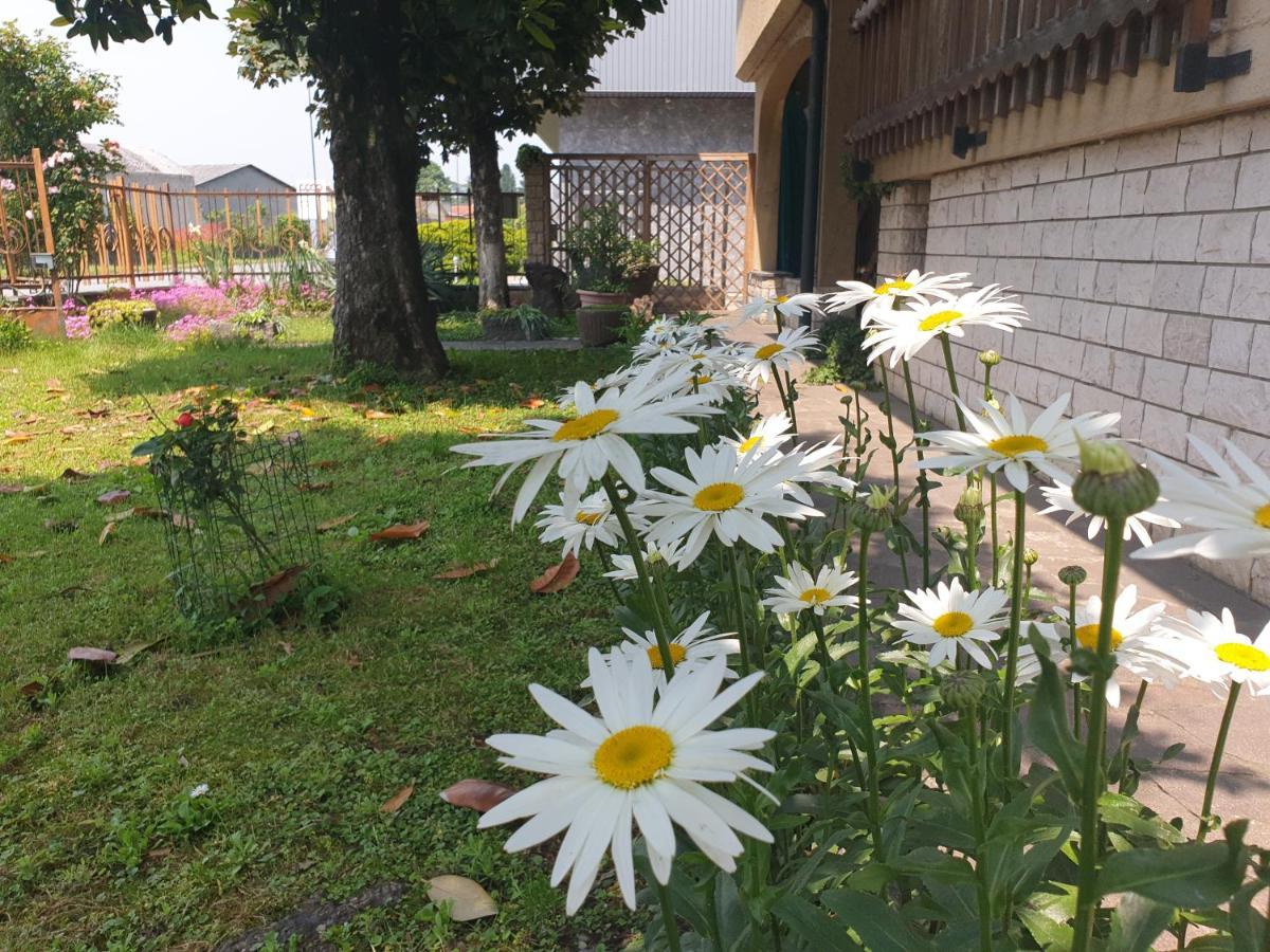 B&B Family Home Soresina Zewnętrze zdjęcie