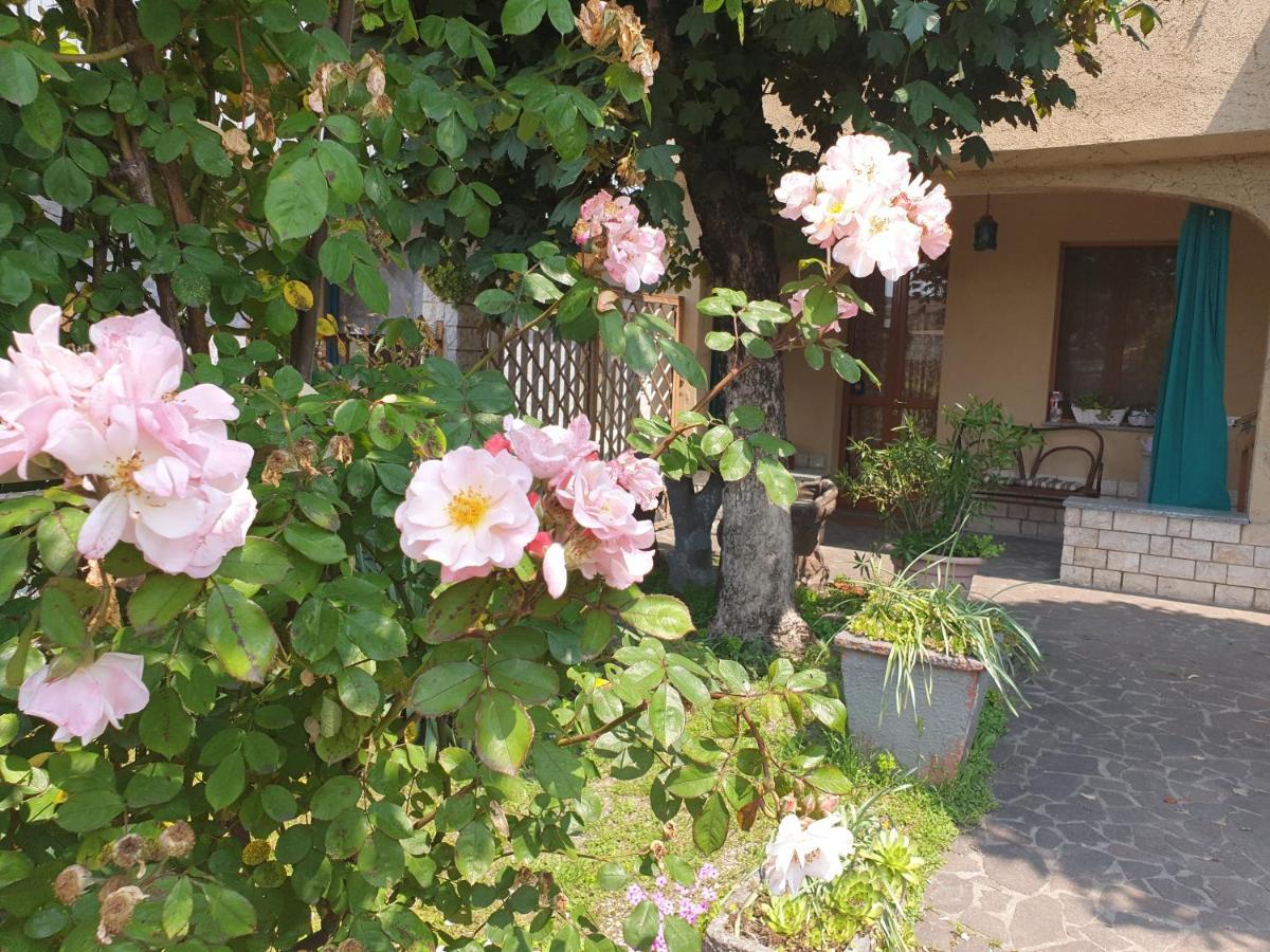 B&B Family Home Soresina Zewnętrze zdjęcie