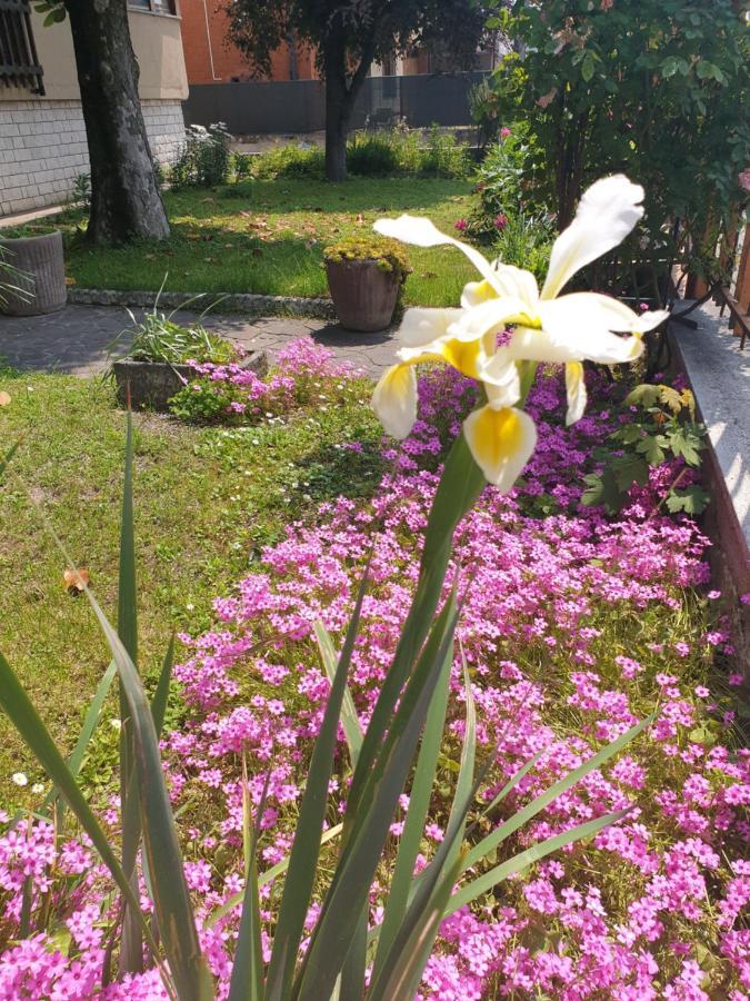 B&B Family Home Soresina Zewnętrze zdjęcie